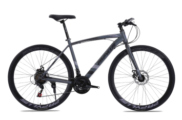 Xe Đạp Touring Papylus PT500